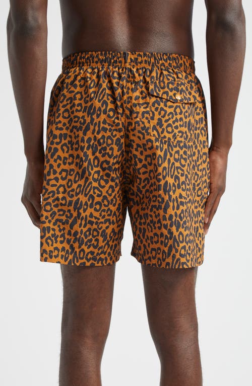 Shop Noah Leopard Print Nylon Swim Trunks