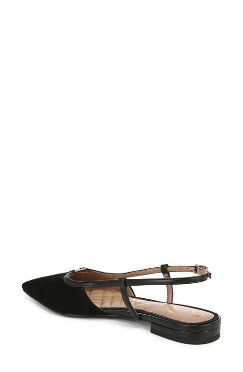 Shop Sam Edelman Cohen Pointed Toe Flat In Black