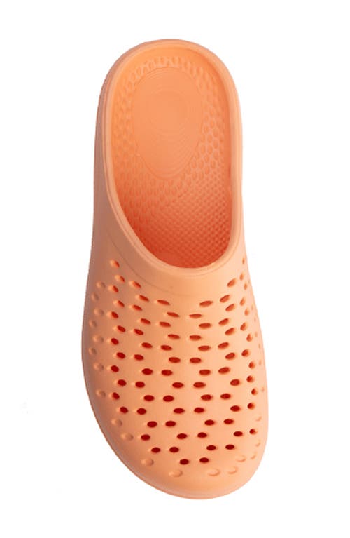 Shop Revitalign Fusion Vitality Clog In Apricot Illusion