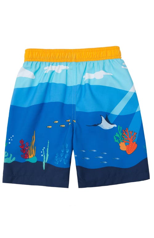 Shop Rokka&rolla Toddler Swim Trunks With Mesh Lining Upf 50+ In Under The Sea