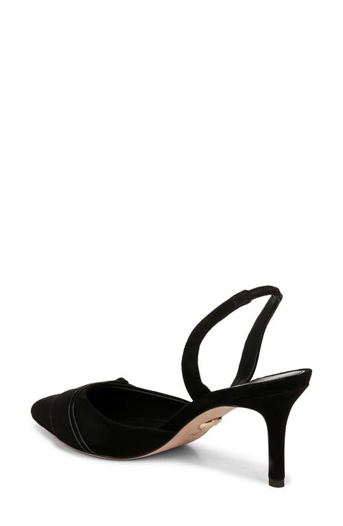 Shop Veronica Beard Lisbeth Slingback Pointed Toe Pump In Black