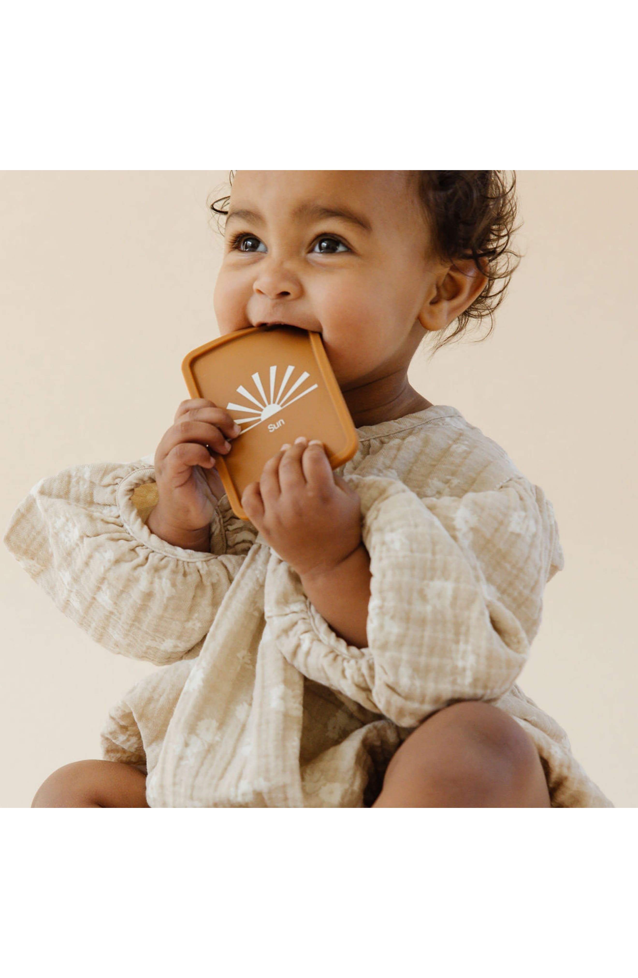 Pretty Please Teethers Set of 5 Weather Silicone Teething Flashcards