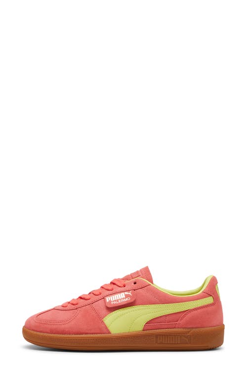 Puma Palermo Leather Sneaker In Salmon-lime Sheen-gum