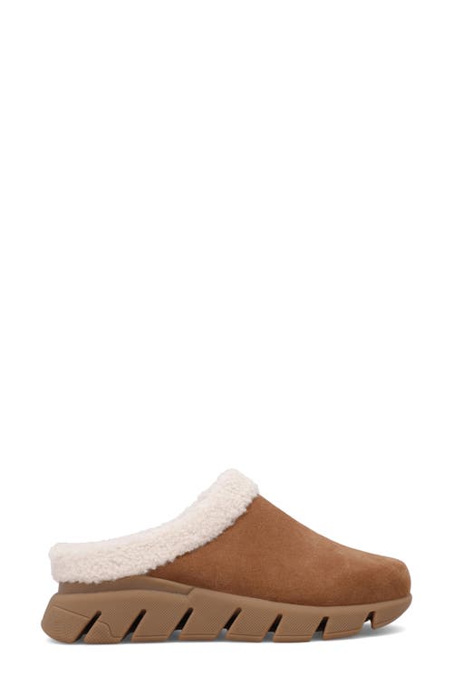 Shop Mia Limited Edition Aric Genuine Shearling Slipper In Tan/off White