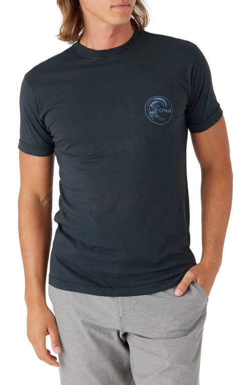 O'Neill Sun Organic Cotton Graphic T-Shirt Dark Charcoal at Nordstrom,