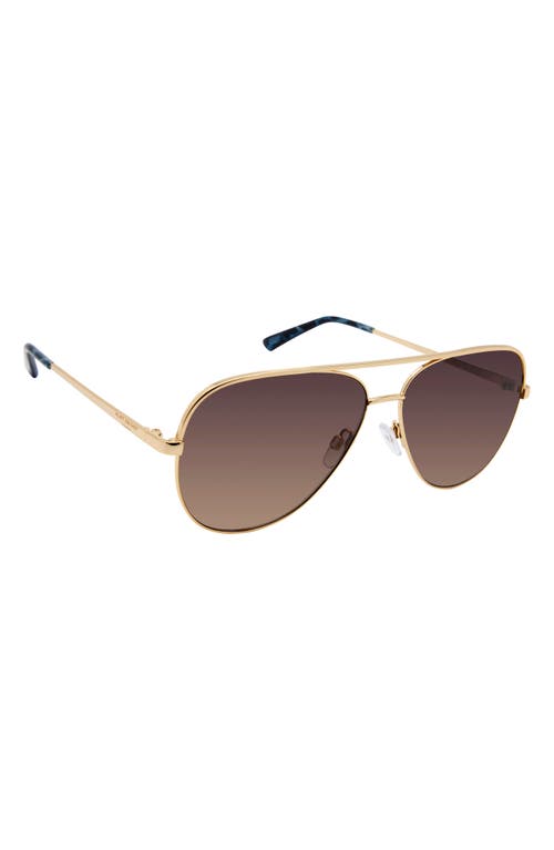 Shop Kurt Geiger London 64mm Aviator Sunglasses In Gold Blue Havana/brown