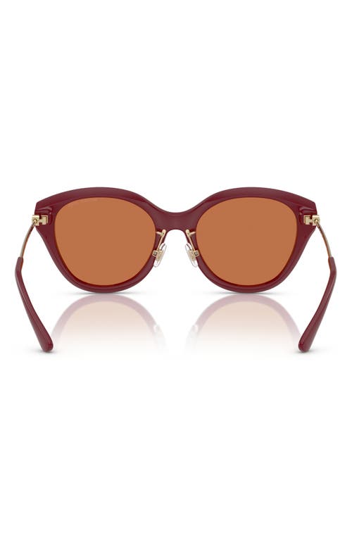 Michael Kors 59mm Round Sunglasses In Dark Red