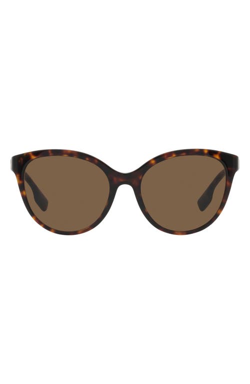 burberry Betty 55mm Cat Eye Sunglasses in Dark Brown