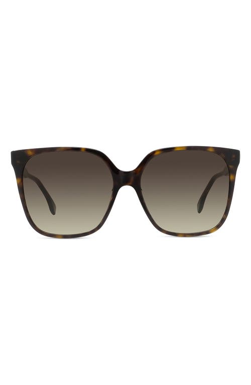 'Fendi Fine 59mm Geometric Sunglasses in Dark Havana /Gradient Brown at Nordstrom
