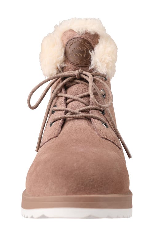 Shop Lamo Demi Faux Shearling Wedge Bootie In Earth