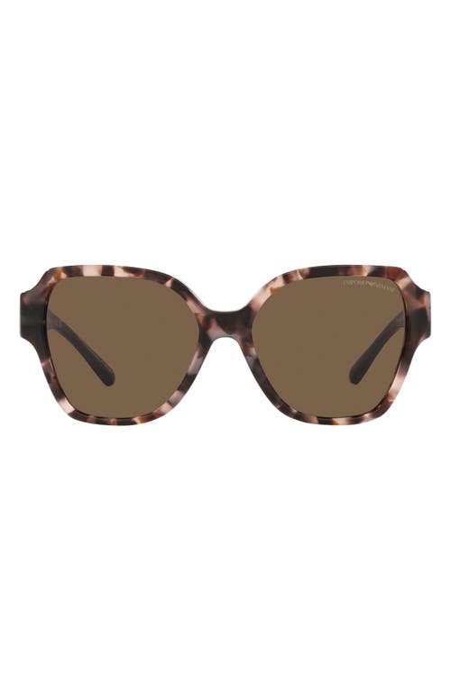 Emporio Armani 54mm Square Sunglasses in Dark Brown at Nordstrom