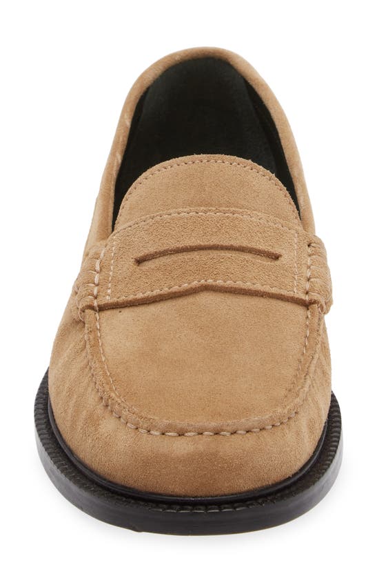 Shop Vinny's Yardee Penny Loafer In Sand