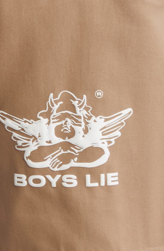 Shop Boys Lie Hits Different Cargo Pants In Brown