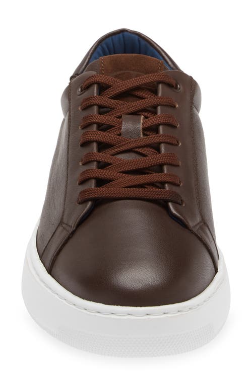 Shop G Brown Puff Low Top Leather Sneaker