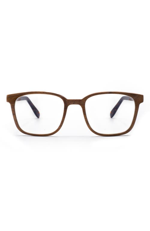 Jetter 50mm Square Optical Glasses in Dark Brown /Clear