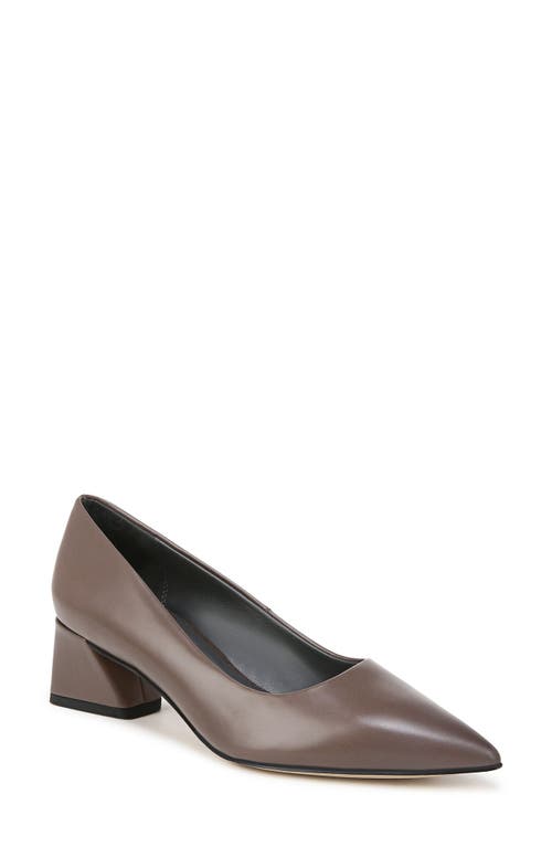 Shop Franco Sarto Racer Pointed Toe Pump In Brown