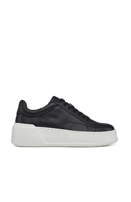 Jslides Footwear Jo Sneaker In Black
