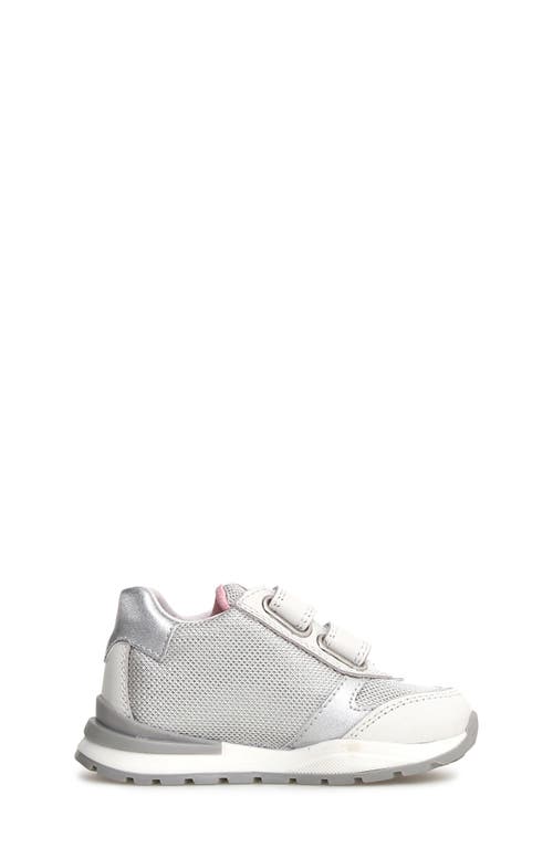 Shop Naturino Kids' Quelly Sneaker In White-silverulti