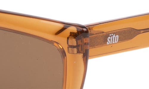 Shop Sito Shades Night In Tobacco/brown Polar