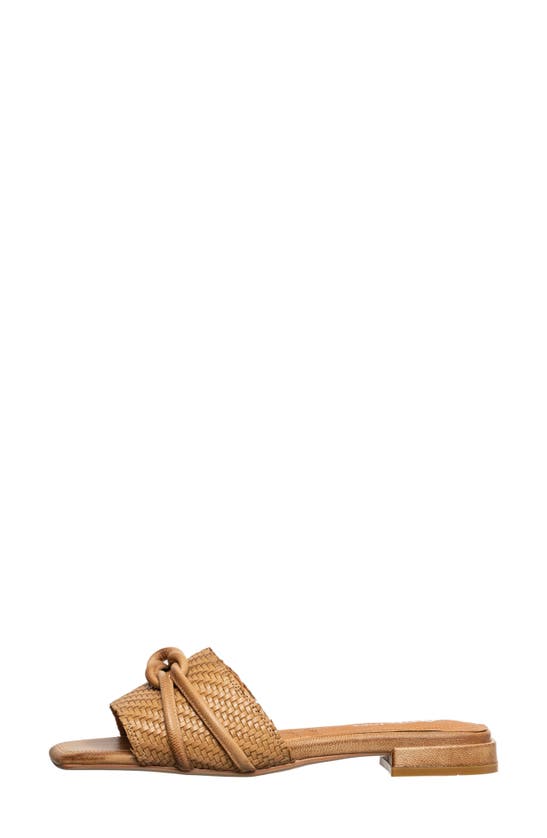 Antelope Adanna Slide Sandal In Taupe Leather