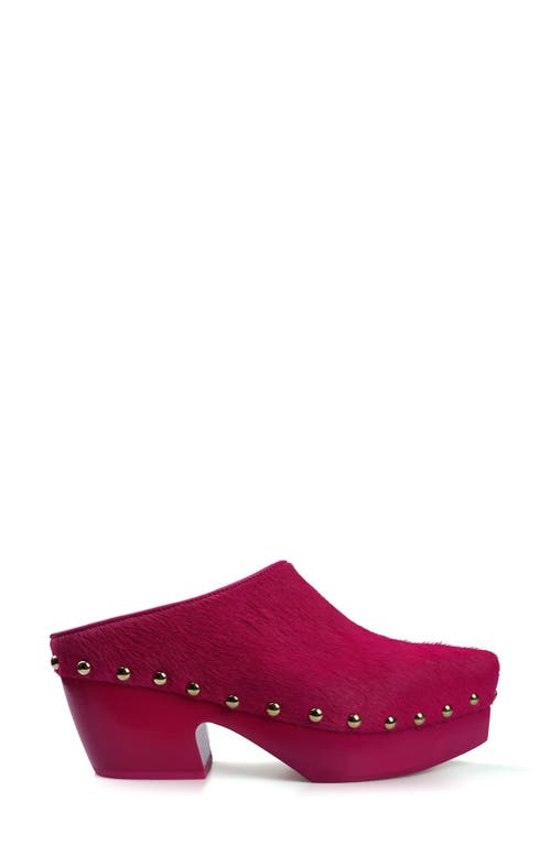 Shop Zigi Faustina Pointed Toe Platform Mule In Redlt