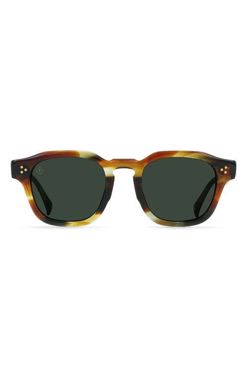 RAEN Rune 48mm Square Sunglasses in Cove /Green