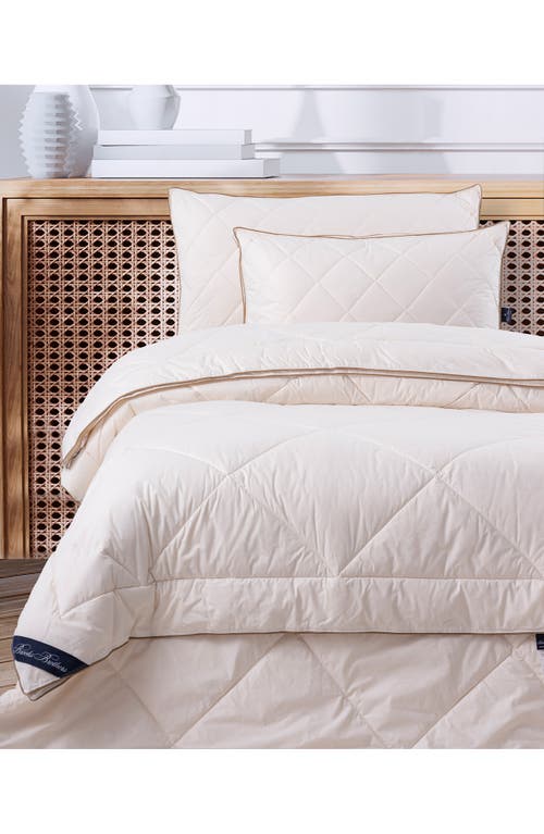 Brooks Brothers Cotton Comforter In Cream