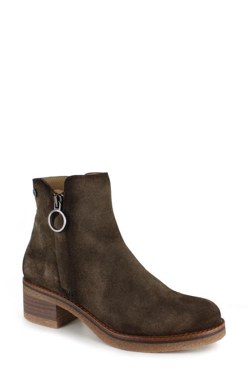 Shop National Comfort Carinna Bootie In Moccasin Suede