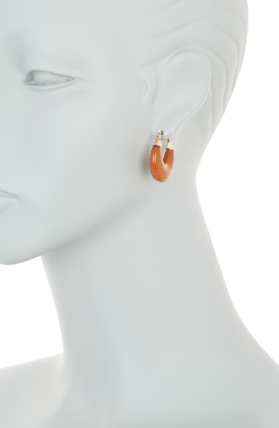 Shop Baublebar Resin Hoop Earrings In Brown
