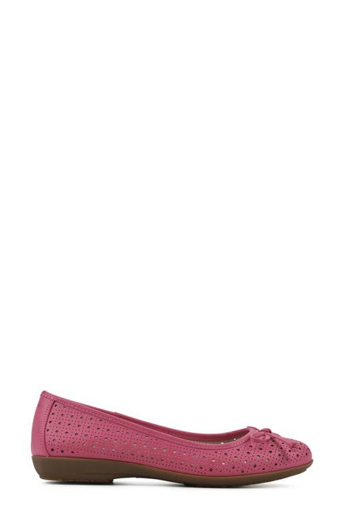 Cliffs By White Mountain Cheryl Ballet Flat In Fuchsia/burnished/smooth