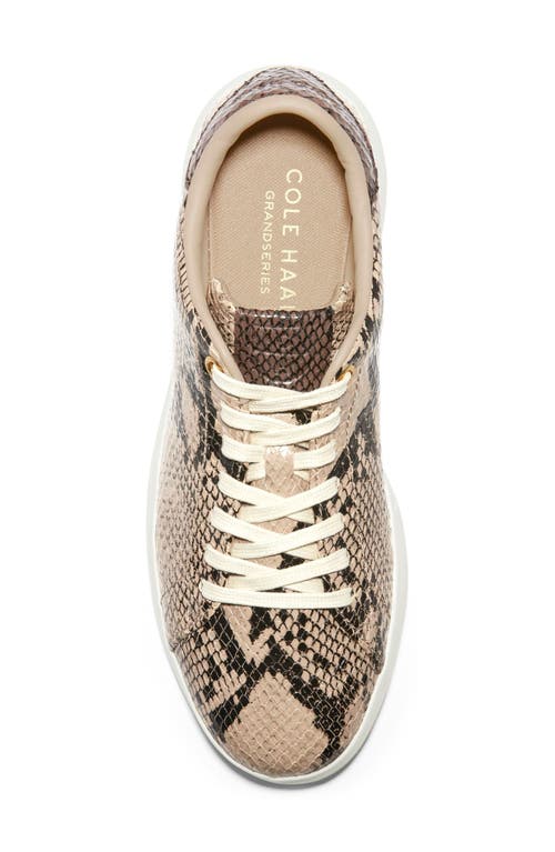 Shop Cole Haan Grandpro Tennis Sneaker In Madeira/ivory