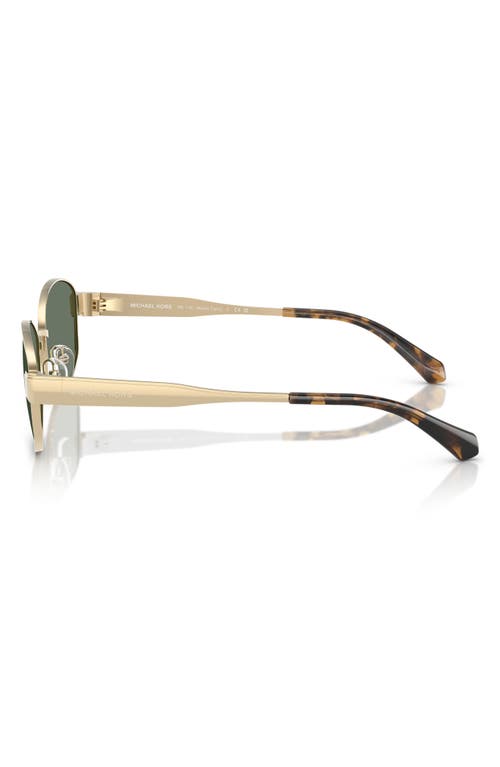 Shop Michael Kors 56mm Oval Sunglasses In Green/gold