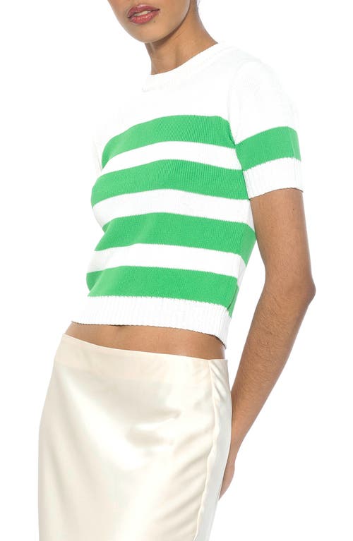 Alexia Admor Pat Stripe Short Sleeve Sweater Top In Ivory/green