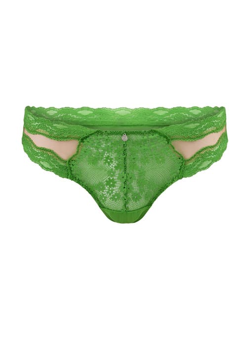 Shop Adore Me Melrose Cheeky Panties In Medium Green