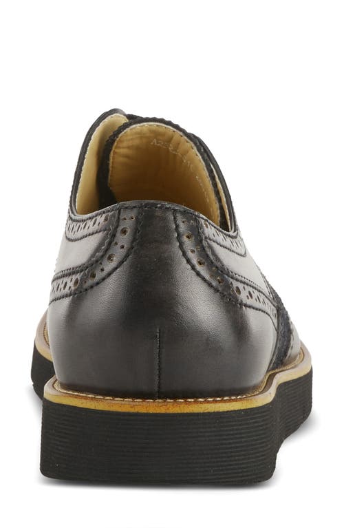 L'artiste By Spring Step Beaufort Derby In Black