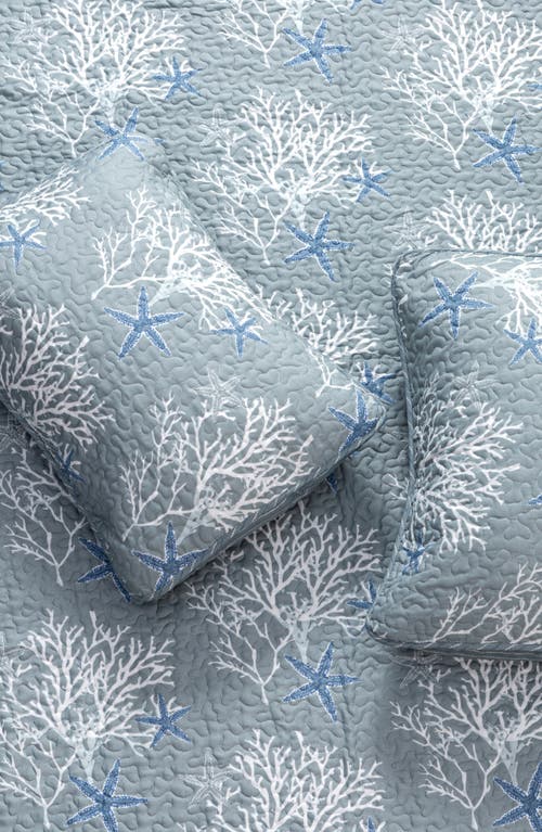Woven & Weft Coastal 3-piece Quilt Set In Pearl Blue