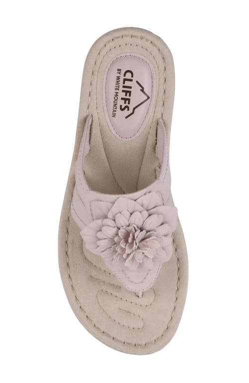Shop Cliffs By White Mountain Cassia Flower Flip Flop In Pale Pink/smooth