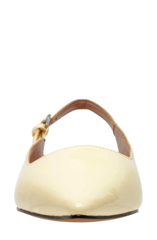 Shop Linea Paolo Caia Pointed Toe Slingback Flat In Light Yellow