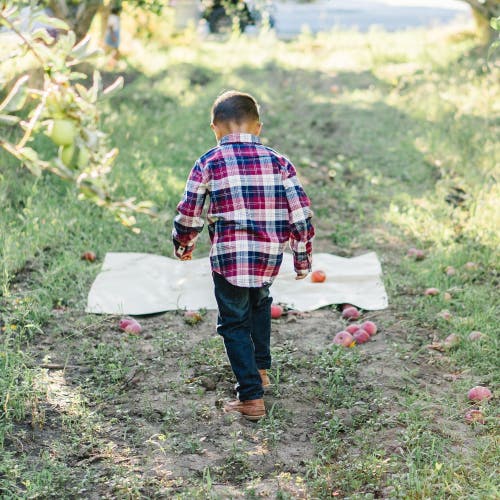 HOPE & HENRY HOPE & HENRY BOYS' ORGANIC FLANNEL SHIRT, KIDS 