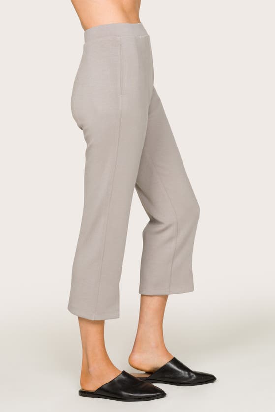 Shop Alala Phoebe Crop Pant In Stone