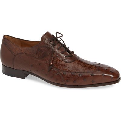 Mezlan Getty Wingtip- Brown