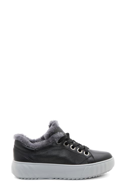 Ara Mikky Genuine Shearling Sneaker In Black