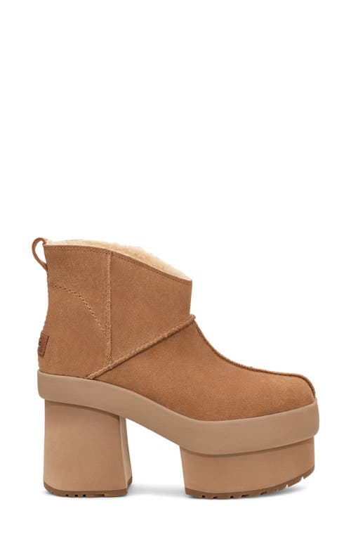 Shop Ugg(r) Mini New Heights Platform Boot In Chestnut