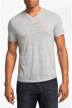 The Rail Trim Fit V-Neck T-Shirt | Nordstrom
