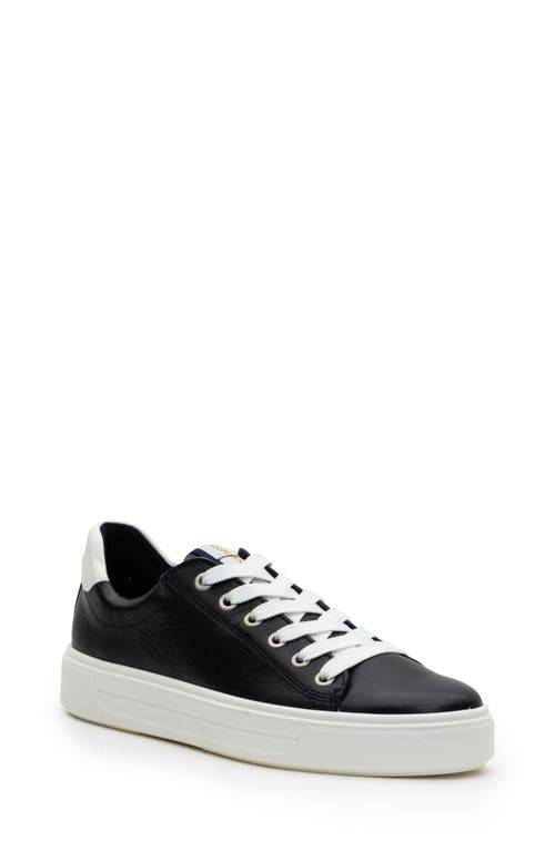 ara Camden Sneaker Navy Cervocalf at Nordstrom,