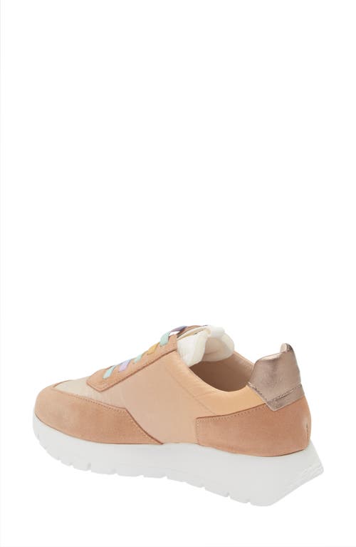 Wonders Odisei Sneaker In Trend Natural/nylon Sand