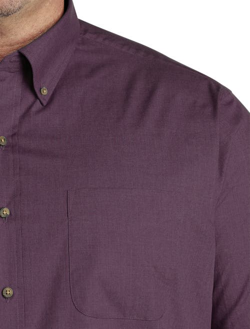 Harbor Bay By Dxl Easy-care Solid Sport Shirt In Potent Purple Hther