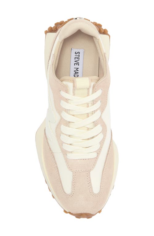 Shop Steve Madden Campo Sneaker In Beige Multi/beige