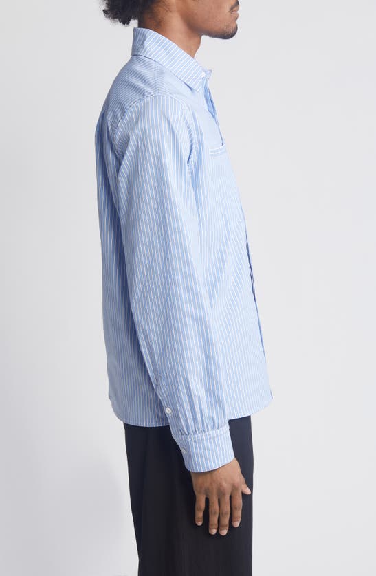 Shop Jungles Expect Nothing Stripe Graphic Button-up Shirt In Blue/ White