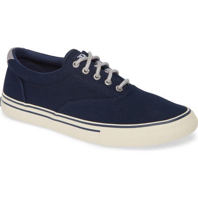 Sperry Striper Storm Cvo Sneaker- Blue